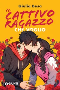 Il cattivo ragazzo che voglio_cover