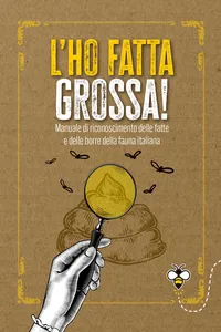 L'ho fatta grossa_cover