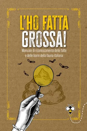 L'ho fatta grossa