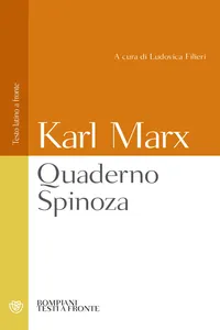 Quaderno Spinoza_cover