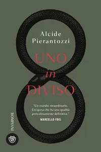 Uno in diviso_cover