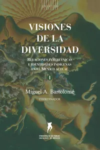 Visiones de la diversidad_cover