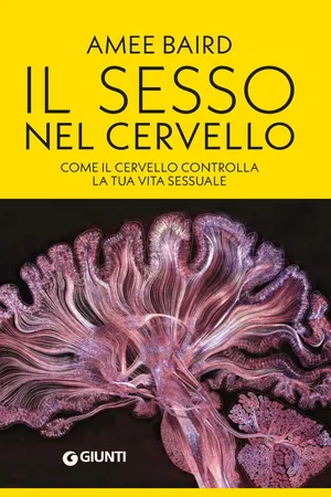 Il sesso nel cervello
