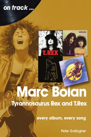 Maglietta Uomo T Rex Bolan - Nera Ufficiale - Grafica Logo Target - Cotone 100%