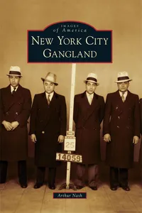 New York City Gangland_cover
