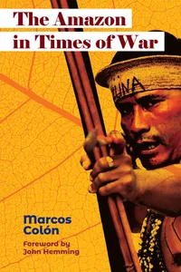The Amazon in Times of War_cover