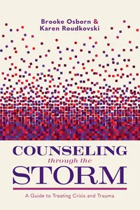 Counseling through the Storm_cover