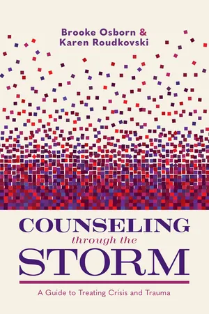 Counseling through the Storm