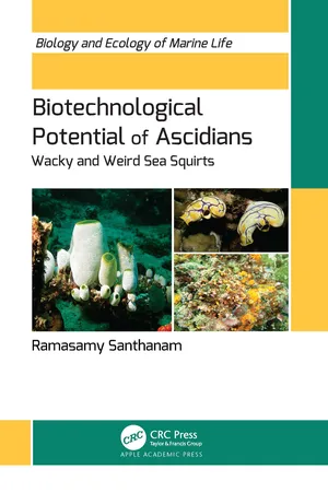Biotechnological Potential of Ascidians