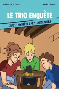 Mystère chez l'antiquaire_cover