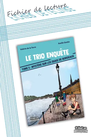Fichier de lecture Mystère sur les quais de Bordeaux (tome 5)