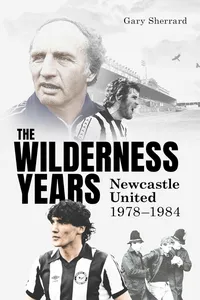 The Wilderness Years_cover