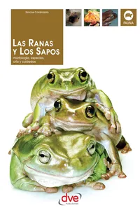 Las Ranas y los Sapos_cover