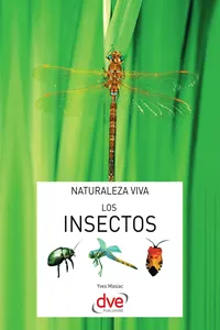 Los insectos_cover
