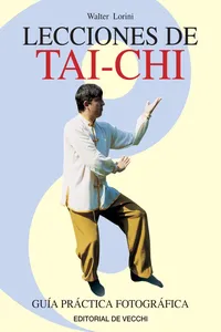 Lecciones de Tai-chi_cover