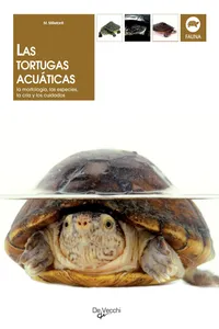 Las tortugas acuáticas_cover
