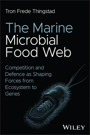 The Marine Microbial Food Web