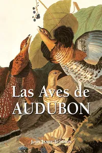 Las Aves de Audubon_cover