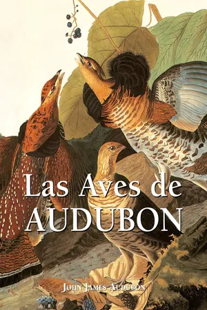 Las Aves de Audubon
