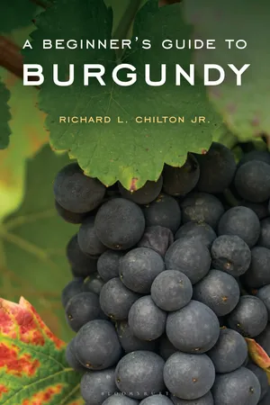 A Beginner's Guide to Burgundy