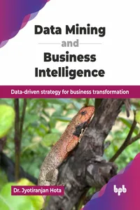 Data Mining and Business Intelligence_cover