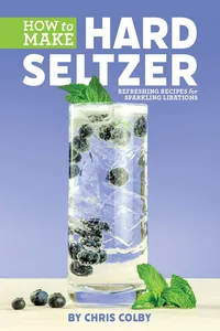 How to Make Hard Seltzer_cover