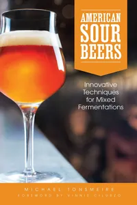 American Sour Beer_cover