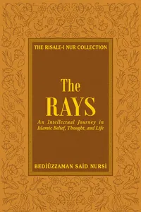 Rays_cover