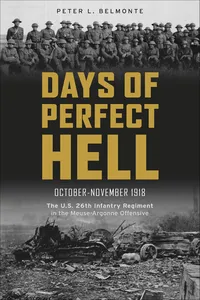 Days of Perfect Hell_cover