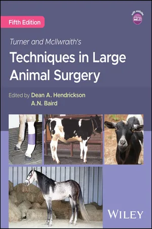Turner and McIlwraith's Techniques in Large Animal Surgery