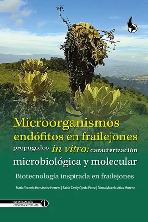 Microorganismos endófitos en frailejones propagados in vitro: caracterización microbiológica y molecular.