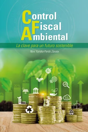 Control Fiscal Ambiental