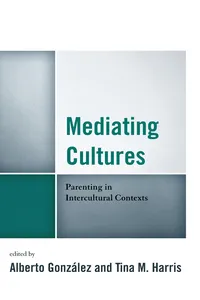 Mediating Cultures_cover