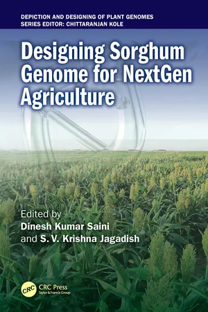 Designing Sorghum Genome for NextGen Agriculture