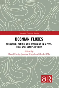Bosnian Fluxes_cover