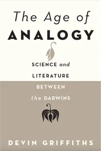 The Age of Analogy_cover