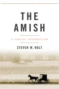 The Amish_cover