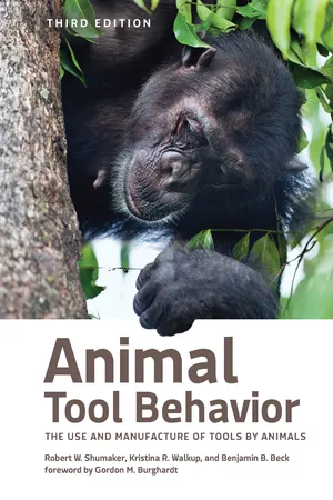 Animal Tool Behavior