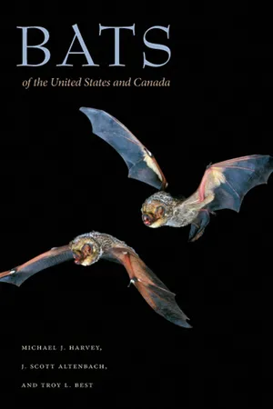 Bats of the United States and Canada