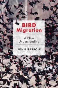 Bird Migration_cover