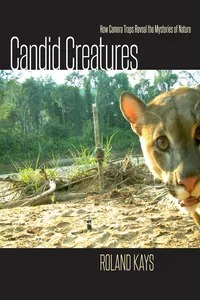 Candid Creatures_cover