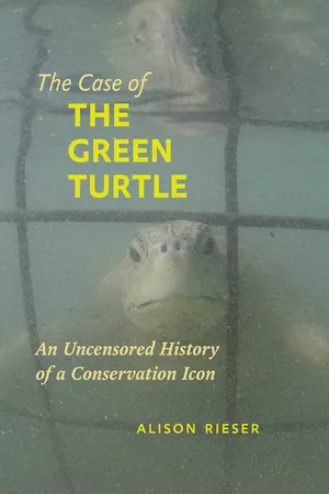 The Case of the Green Turtle