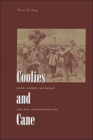Coolies and Cane