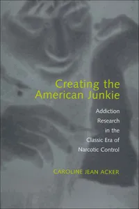 Creating the American Junkie_cover