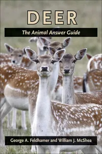 Deer_cover