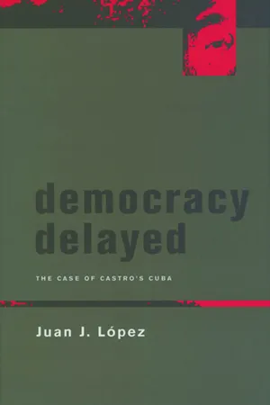 Democracy Delayed