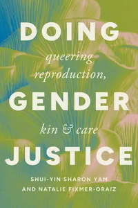 Doing Gender Justice_cover