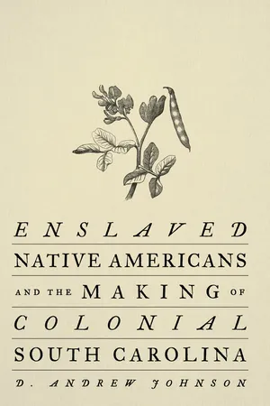 Enslaved Native Americans and the Making of Colonial South Carolina