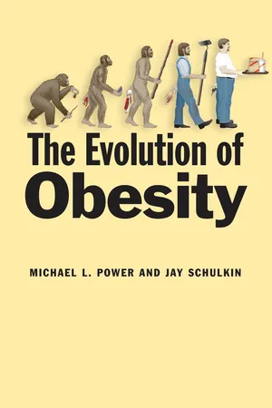 The Evolution of Obesity