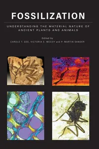 Fossilization_cover